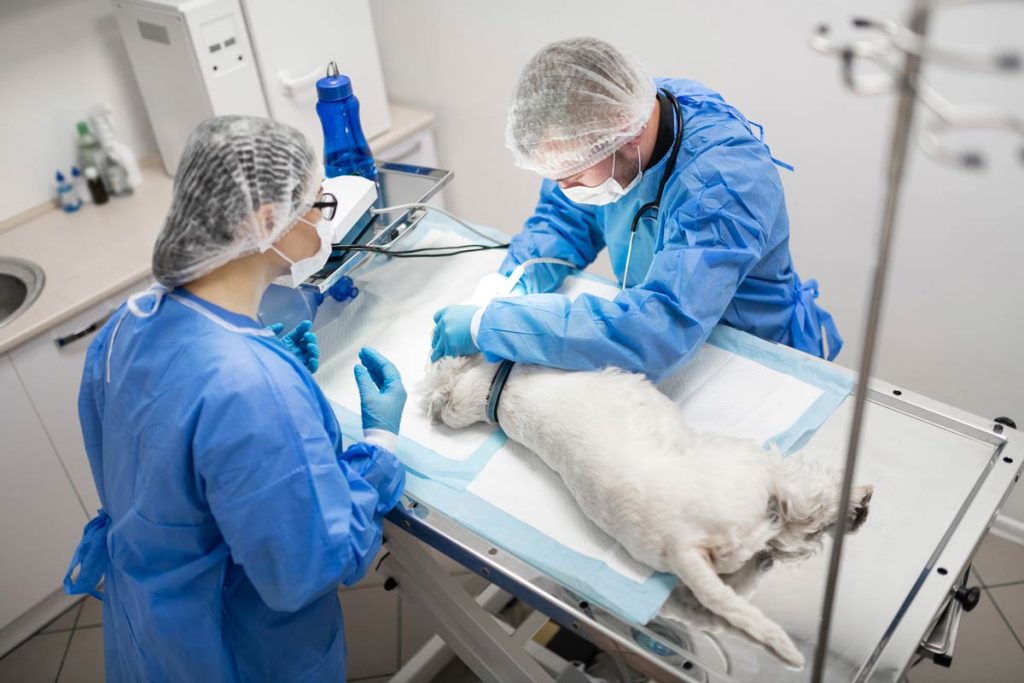 Infection Prevention