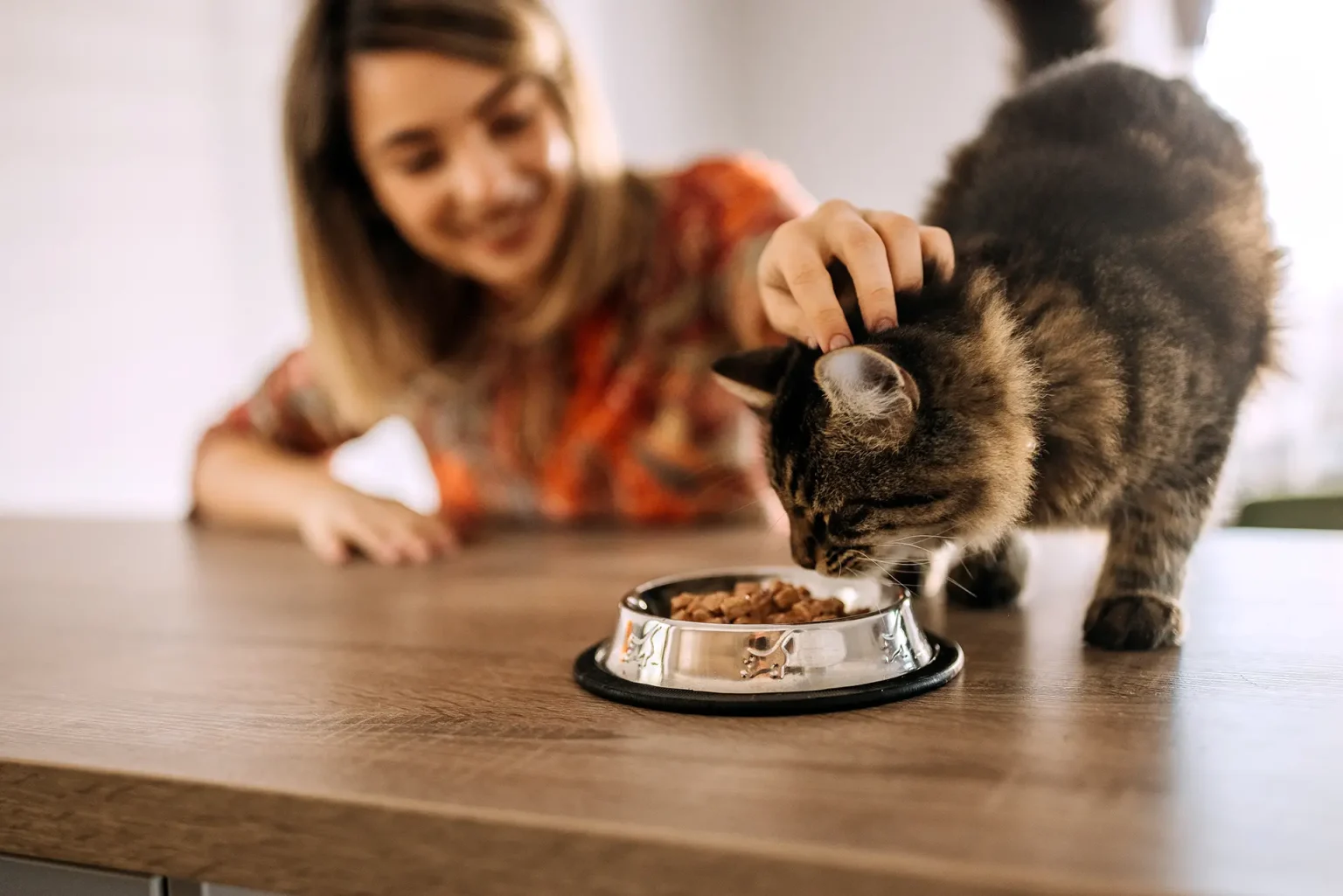 How Animal Hospitals Support Nutrition And Weight Management nutriton weight management iStock 1443507245